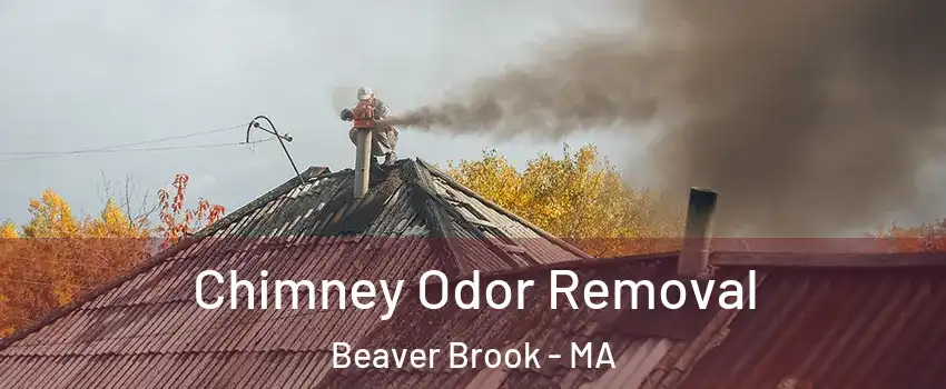 Chimney Odor Removal Beaver Brook - MA