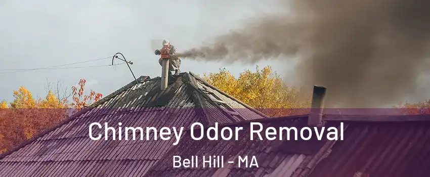 Chimney Odor Removal Bell Hill - MA