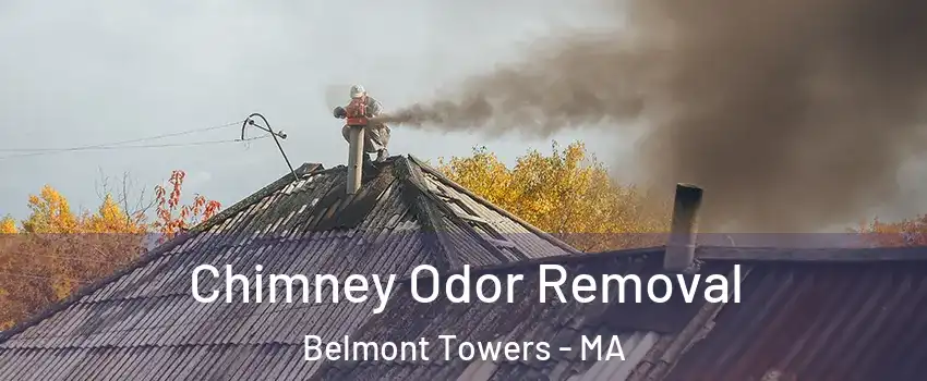 Chimney Odor Removal Belmont Towers - MA