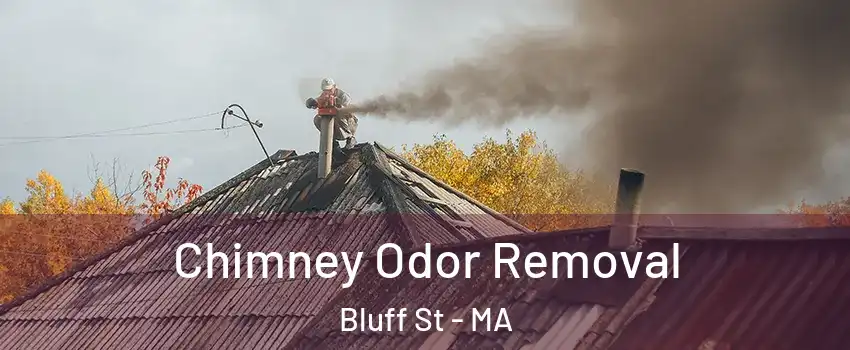 Chimney Odor Removal Bluff St - MA