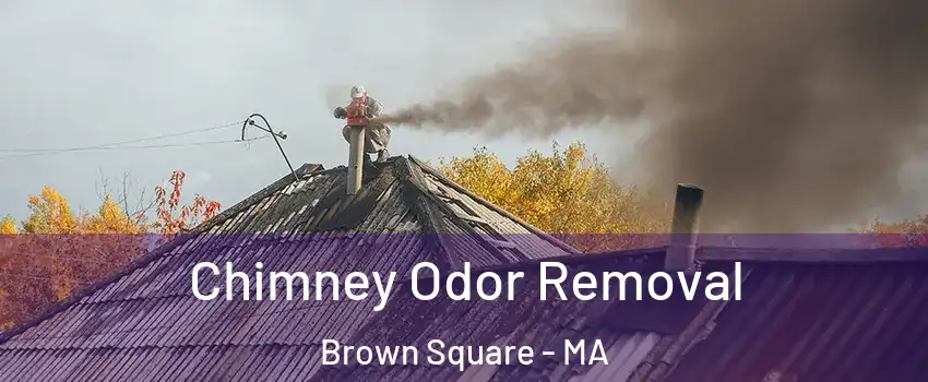 Chimney Odor Removal Brown Square - MA