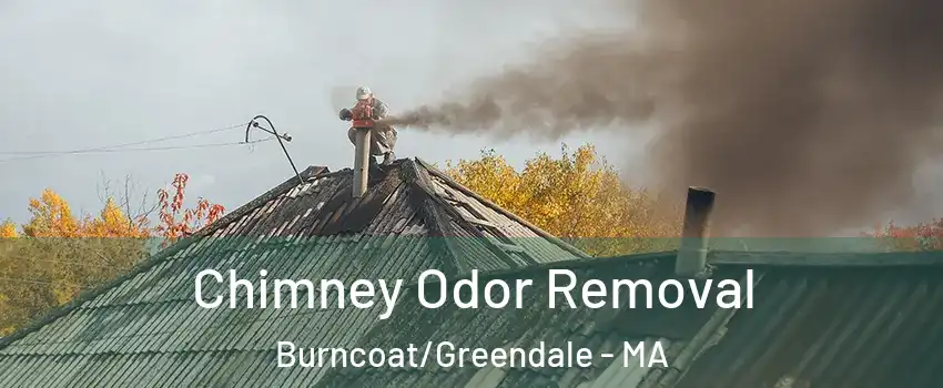 Chimney Odor Removal Burncoat/Greendale - MA