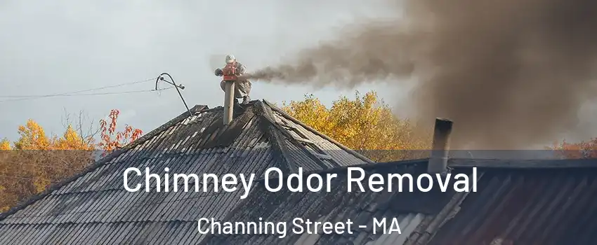 Chimney Odor Removal Channing Street - MA