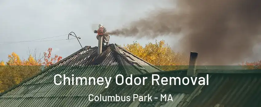 Chimney Odor Removal Columbus Park - MA