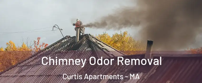 Chimney Odor Removal Curtis Apartments - MA