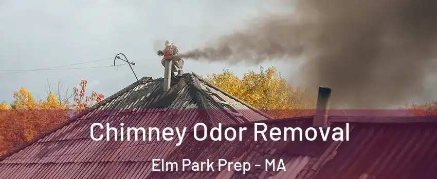 Chimney Odor Removal Elm Park Prep - MA