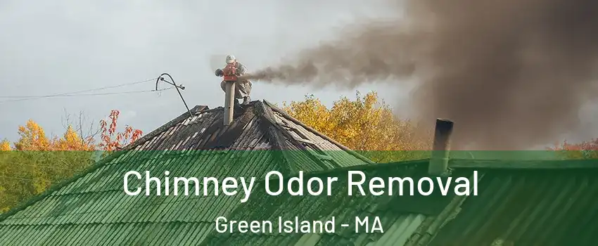 Chimney Odor Removal Green Island - MA