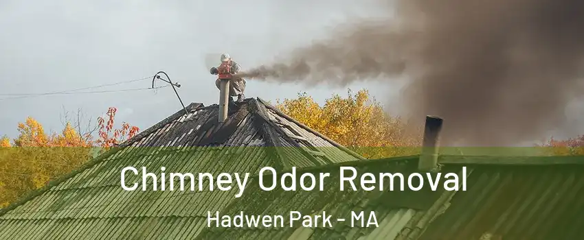 Chimney Odor Removal Hadwen Park - MA