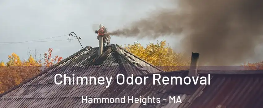 Chimney Odor Removal Hammond Heights - MA