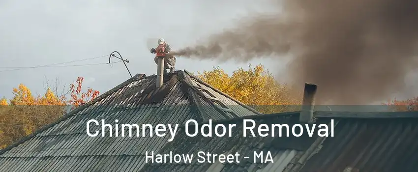 Chimney Odor Removal Harlow Street - MA