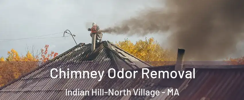 Chimney Odor Removal Indian Hill-North Village - MA