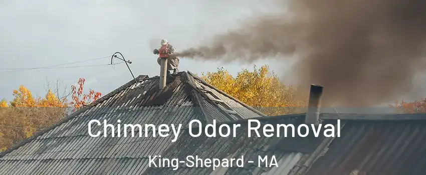 Chimney Odor Removal King-Shepard - MA