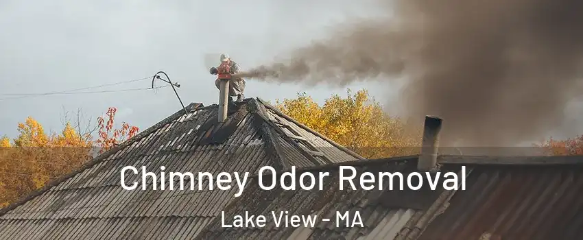 Chimney Odor Removal Lake View - MA