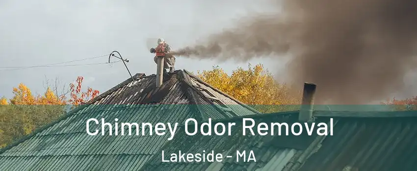 Chimney Odor Removal Lakeside - MA