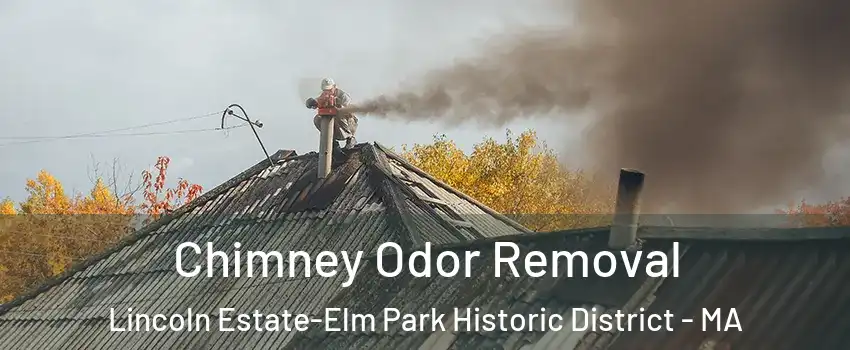 Chimney Odor Removal Lincoln Estate-Elm Park Historic District - MA