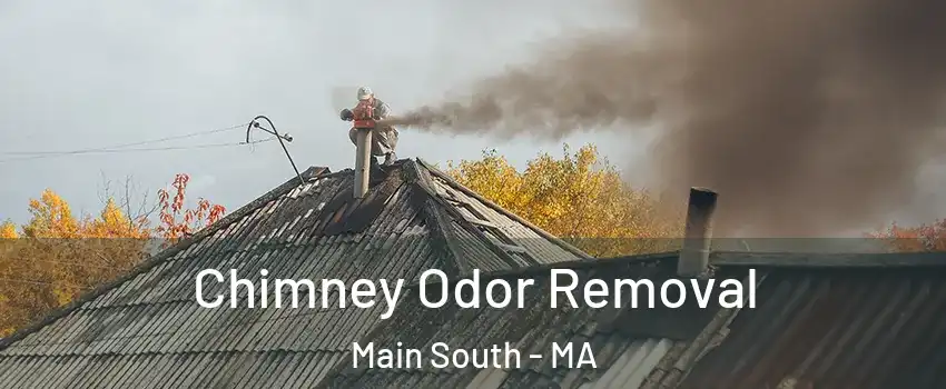 Chimney Odor Removal Main South - MA