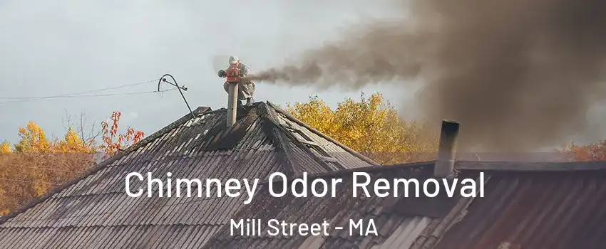 Chimney Odor Removal Mill Street - MA