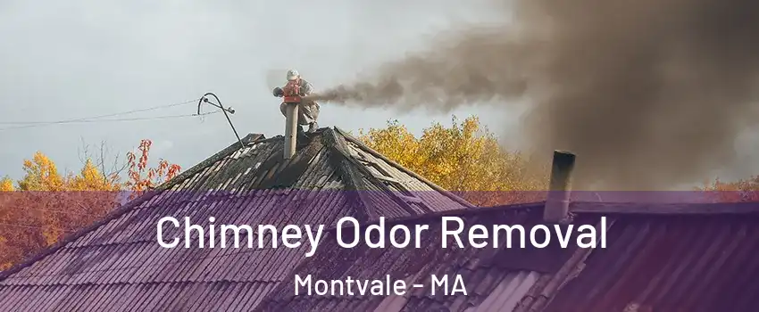 Chimney Odor Removal Montvale - MA