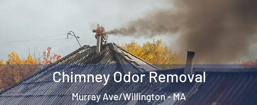 Chimney Odor Removal Murray Ave/Willington - MA