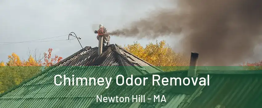 Chimney Odor Removal Newton Hill - MA