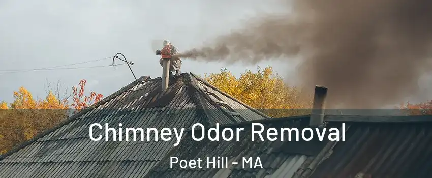 Chimney Odor Removal Poet Hill - MA