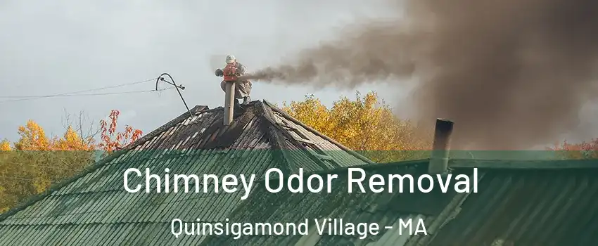 Chimney Odor Removal Quinsigamond Village - MA