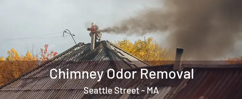 Chimney Odor Removal Seattle Street - MA