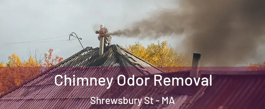 Chimney Odor Removal Shrewsbury St - MA