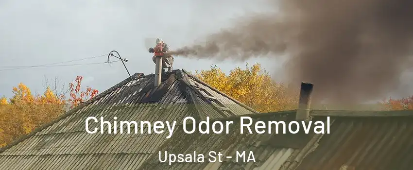 Chimney Odor Removal Upsala St - MA