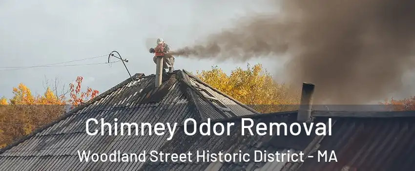 Chimney Odor Removal Woodland Street Historic District - MA