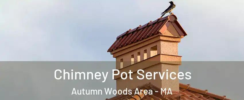 Chimney Pot Services Autumn Woods Area - MA