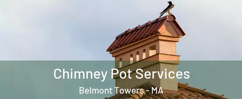 Chimney Pot Services Belmont Towers - MA