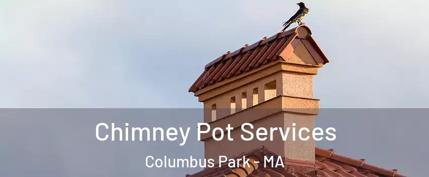 Chimney Pot Services Columbus Park - MA