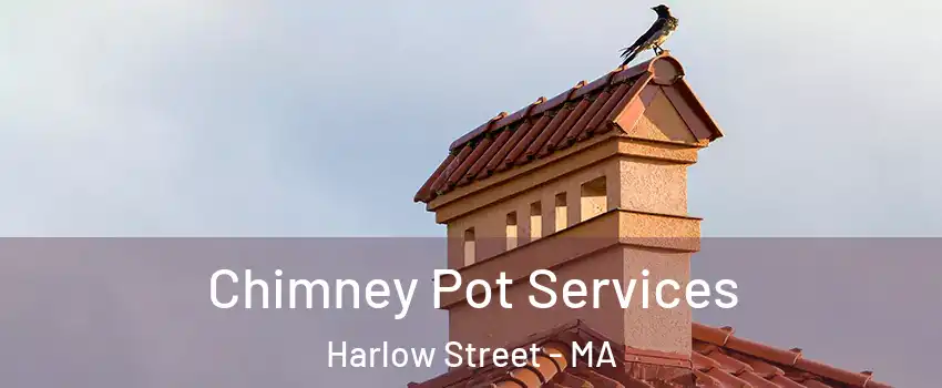 Chimney Pot Services Harlow Street - MA