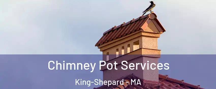 Chimney Pot Services King-Shepard - MA