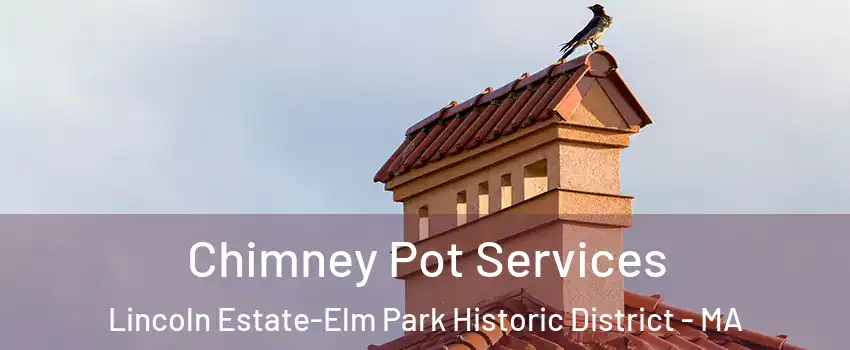 Chimney Pot Services Lincoln Estate-Elm Park Historic District - MA