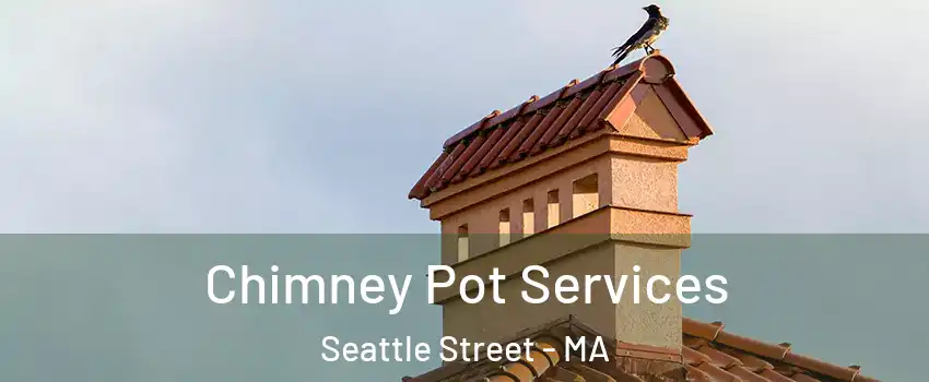 Chimney Pot Services Seattle Street - MA