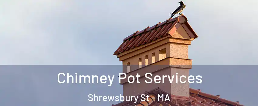 Chimney Pot Services Shrewsbury St - MA