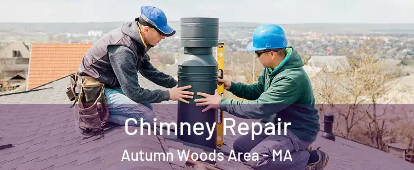 Chimney Repair Autumn Woods Area - MA