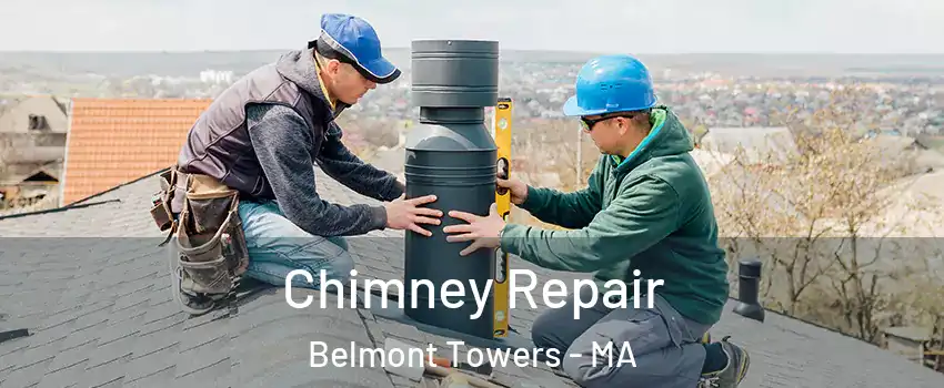 Chimney Repair Belmont Towers - MA