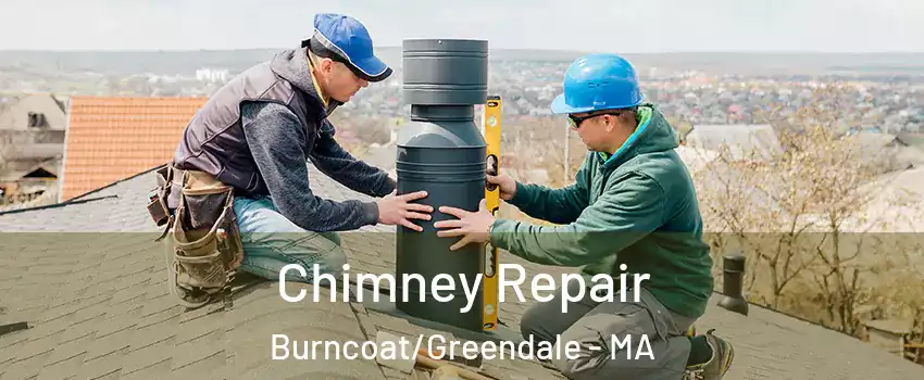 Chimney Repair Burncoat/Greendale - MA