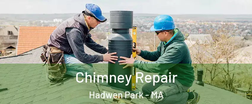 Chimney Repair Hadwen Park - MA