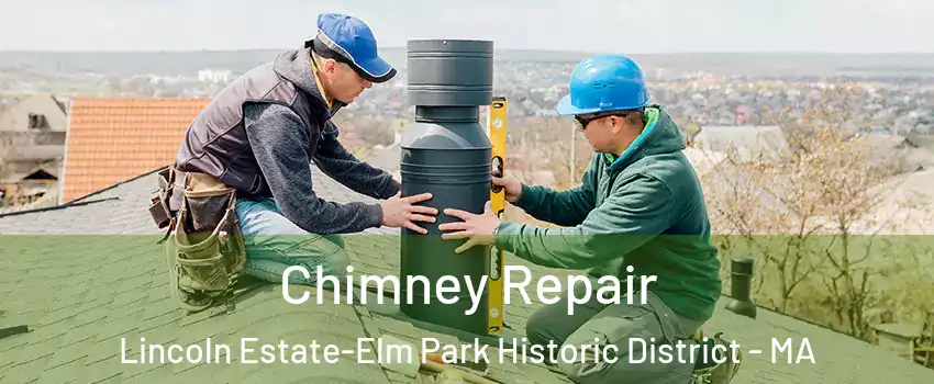 Chimney Repair Lincoln Estate-Elm Park Historic District - MA