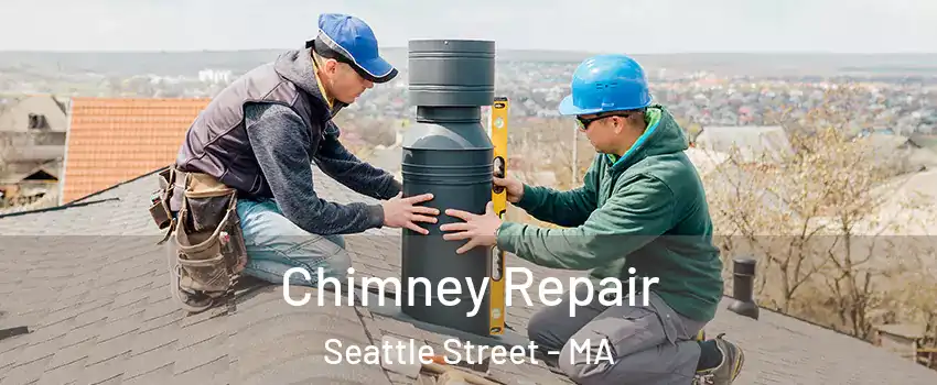 Chimney Repair Seattle Street - MA