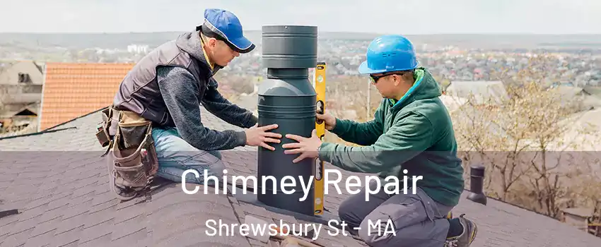 Chimney Repair Shrewsbury St - MA