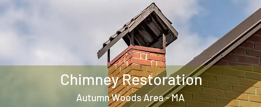 Chimney Restoration Autumn Woods Area - MA