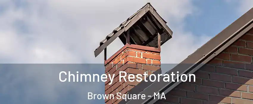 Chimney Restoration Brown Square - MA