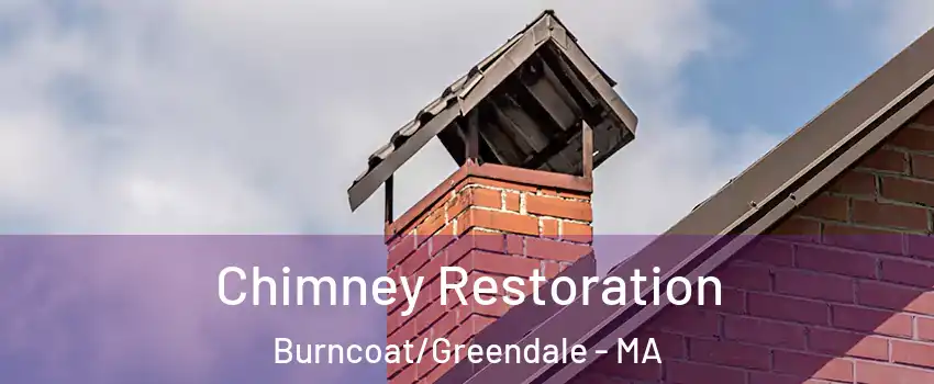 Chimney Restoration Burncoat/Greendale - MA