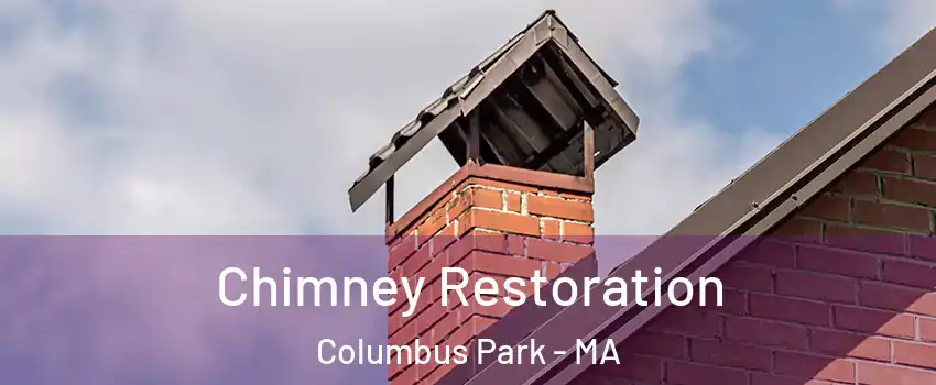 Chimney Restoration Columbus Park - MA