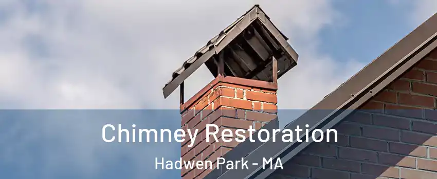 Chimney Restoration Hadwen Park - MA